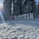 @shogranvibes