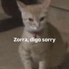 carli_hijadepolly