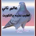 @thamer.alfadel