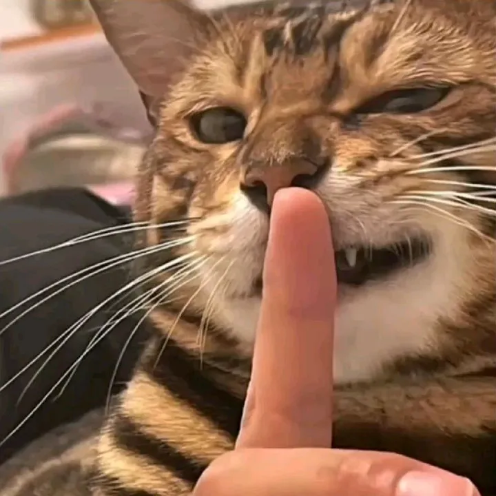 jun_____13