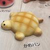 happybesty523
