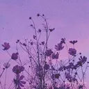 @your_favourite_ex