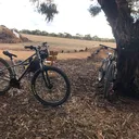 @mtbozzi