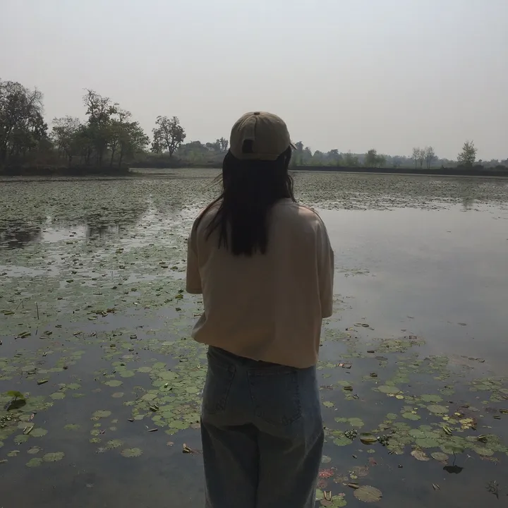 @apikshya77