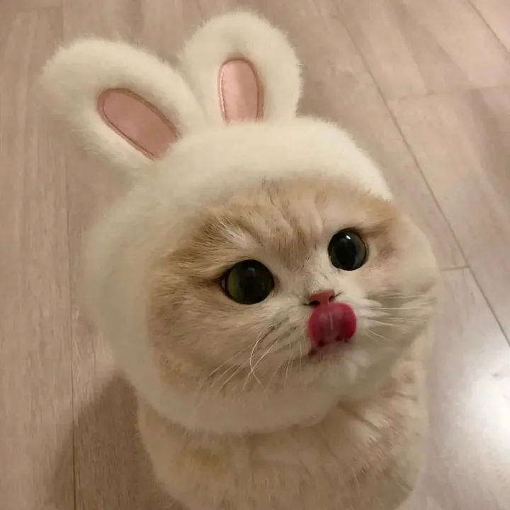 xiao_sammy