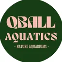 @qball_aquatics
