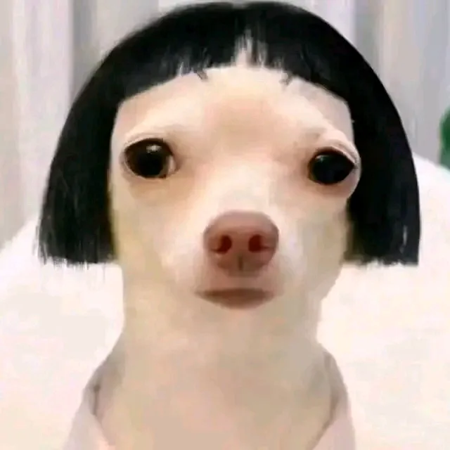 maxpie11