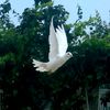 emre_ozdemir33