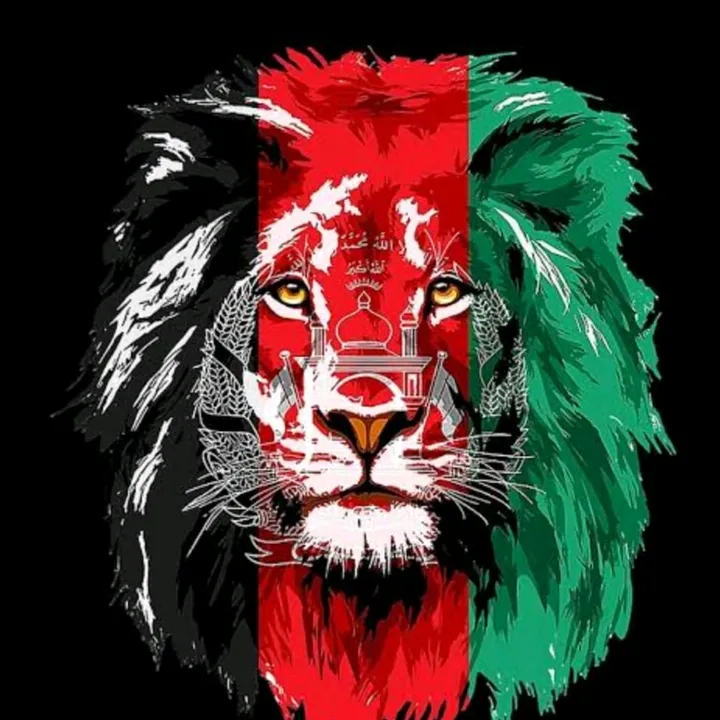 ns.abbas33