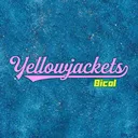 @yellowjackets8298