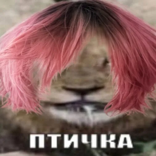 @ranieokaa
