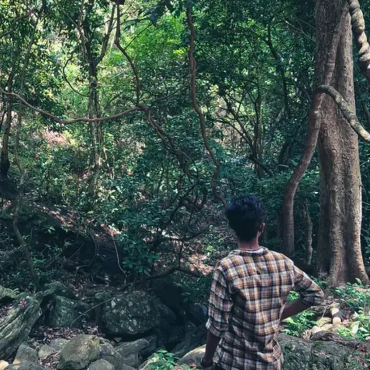 solobharath