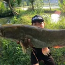 @huynhfishingshop
