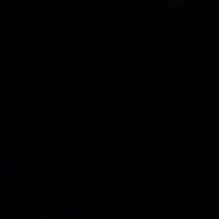 .ppp289