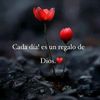 nocta1984