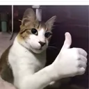 @gigglefart342