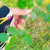 ashiq.husssain6