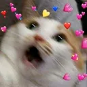 @chip.au