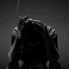 baqri_sako
