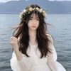 linlong_0520