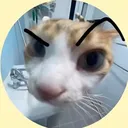 @r11edd