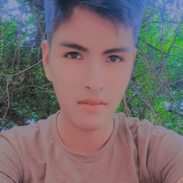 @alexsalinas489