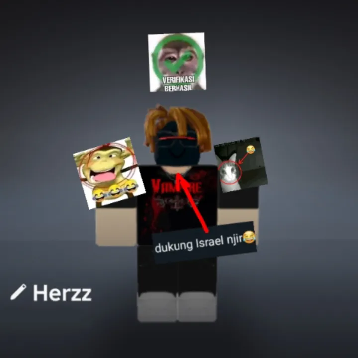 @herzz_rblx__