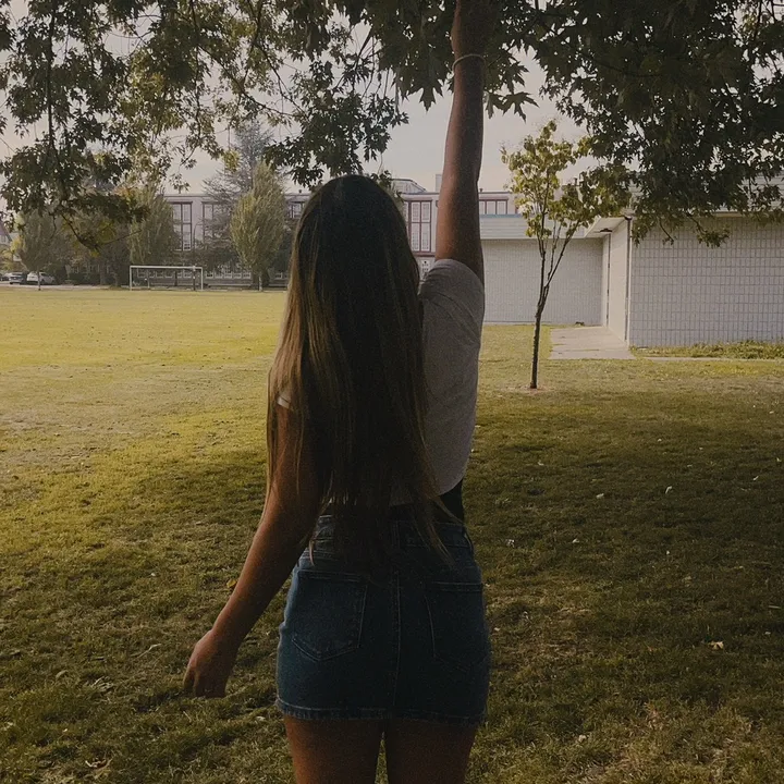 @sierras_archives