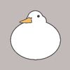 rainygoose830