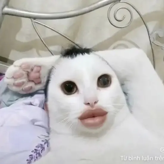 @t1euky