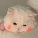 @zaaashop26