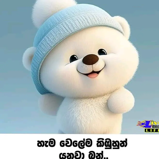 @rashi8168