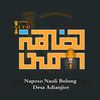 _nnbadianjior