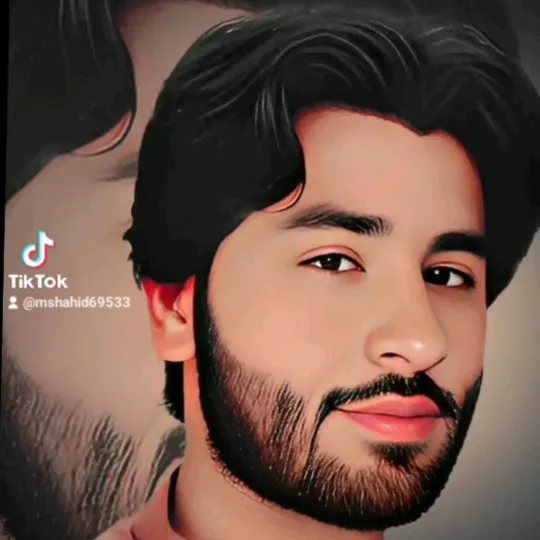 mshahid69533