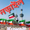 @___narail___