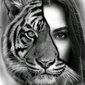 @tiktok.satishi.sehifesi