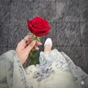 @xvoid_ns