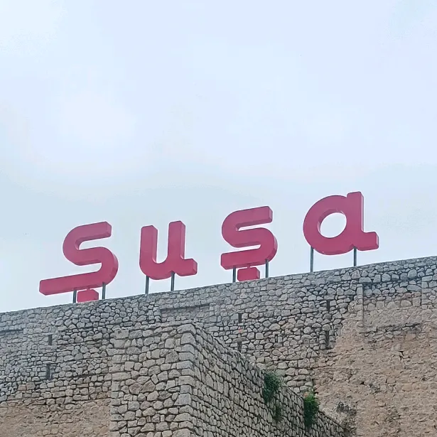 @susa_lacin.portal