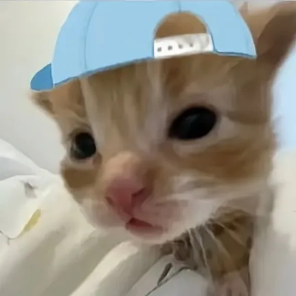 @gondu1235