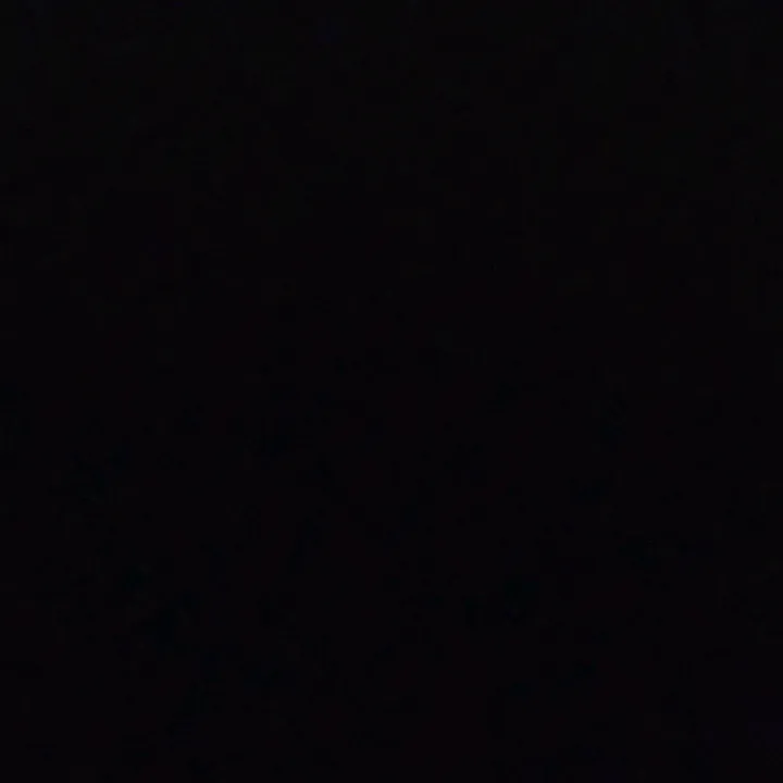 @sega87237