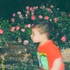 bimacious_