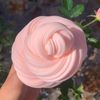 luslimee