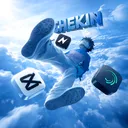 @_chek1n_