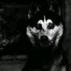 mothermother_666