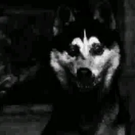 @mothermother_666