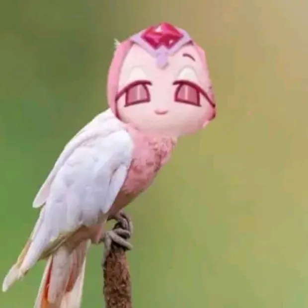 @pink.bird21