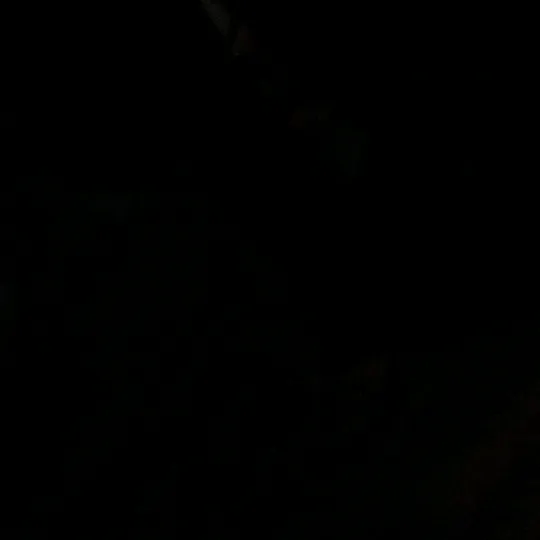 @mertpasamm