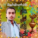 @adnantanoli746
