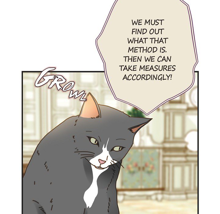 Survival Marriage - episode 31 - 33