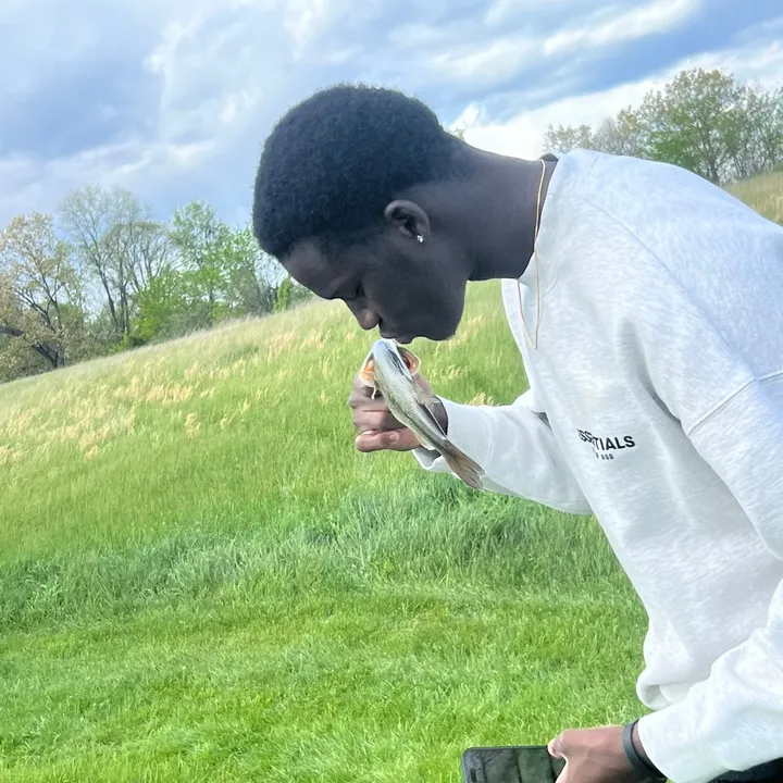 moustapha.thiam06